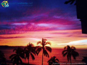 tumblr_nftj5hE5Lz1qa39tbo1_500