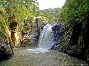 tumblr_nhegahiTF61qa39tbo1_500