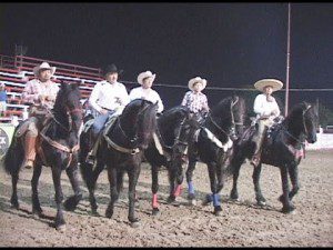 0-36