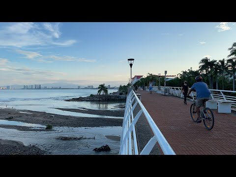 Morning Walk Puerto Vallarta Join Live