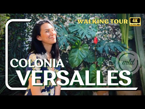 PUERTO VALLARTA MEXICO 2024 ????????  COLONIA VERSALLES | 4K WALKING TOUR
