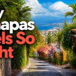 Why Does Amapas Feel So Right for a Two-Person Puerto Vallarta Escape?